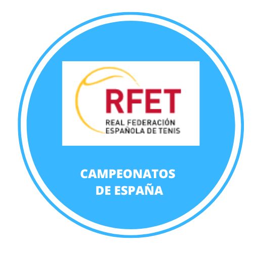 diseño responsive