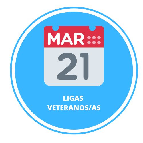 diseño responsive