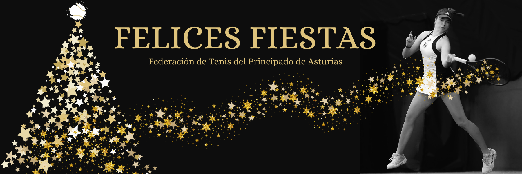 Federación de Tenis del Principado de Asturias