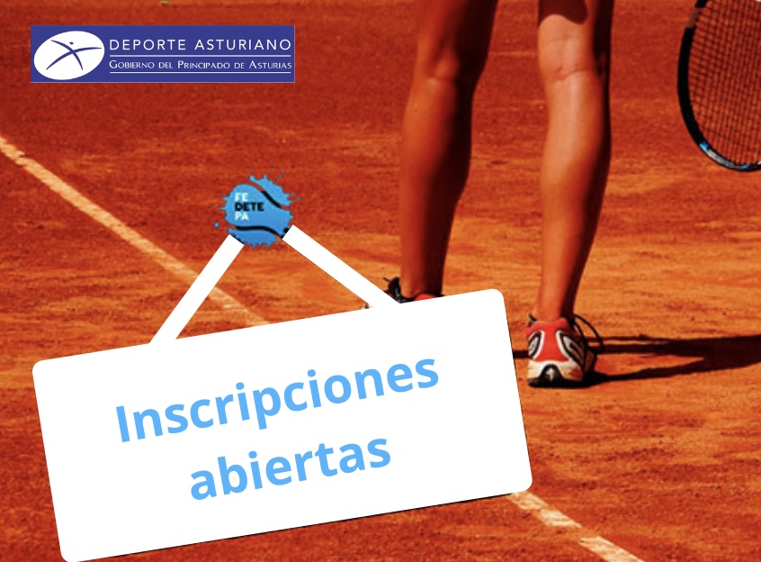 2513 CAMPEONATO DE ASTURIAS EN SILLA